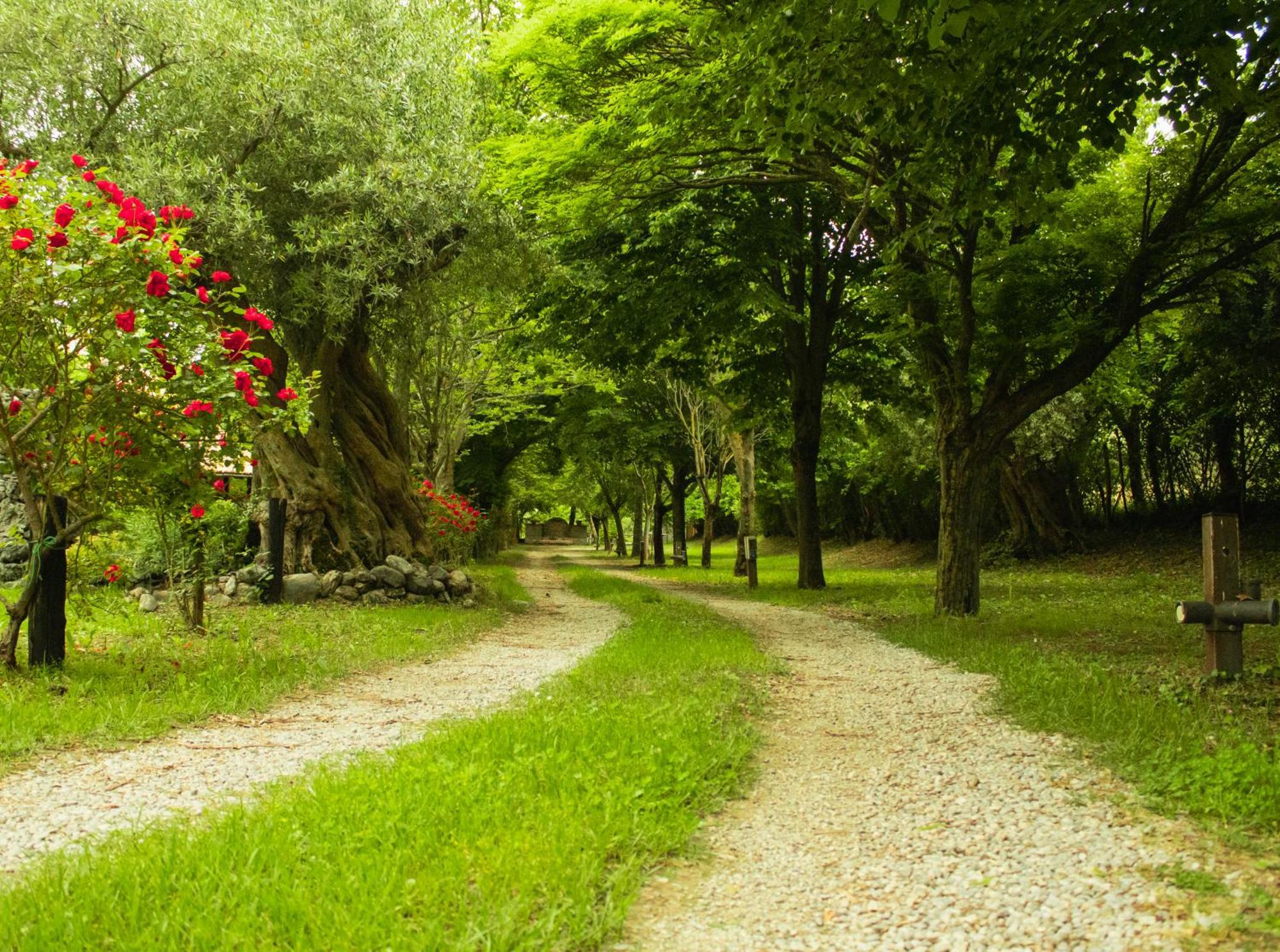 Agriturismo La Locanda Del Parco Morano Calabro Buitenkant foto