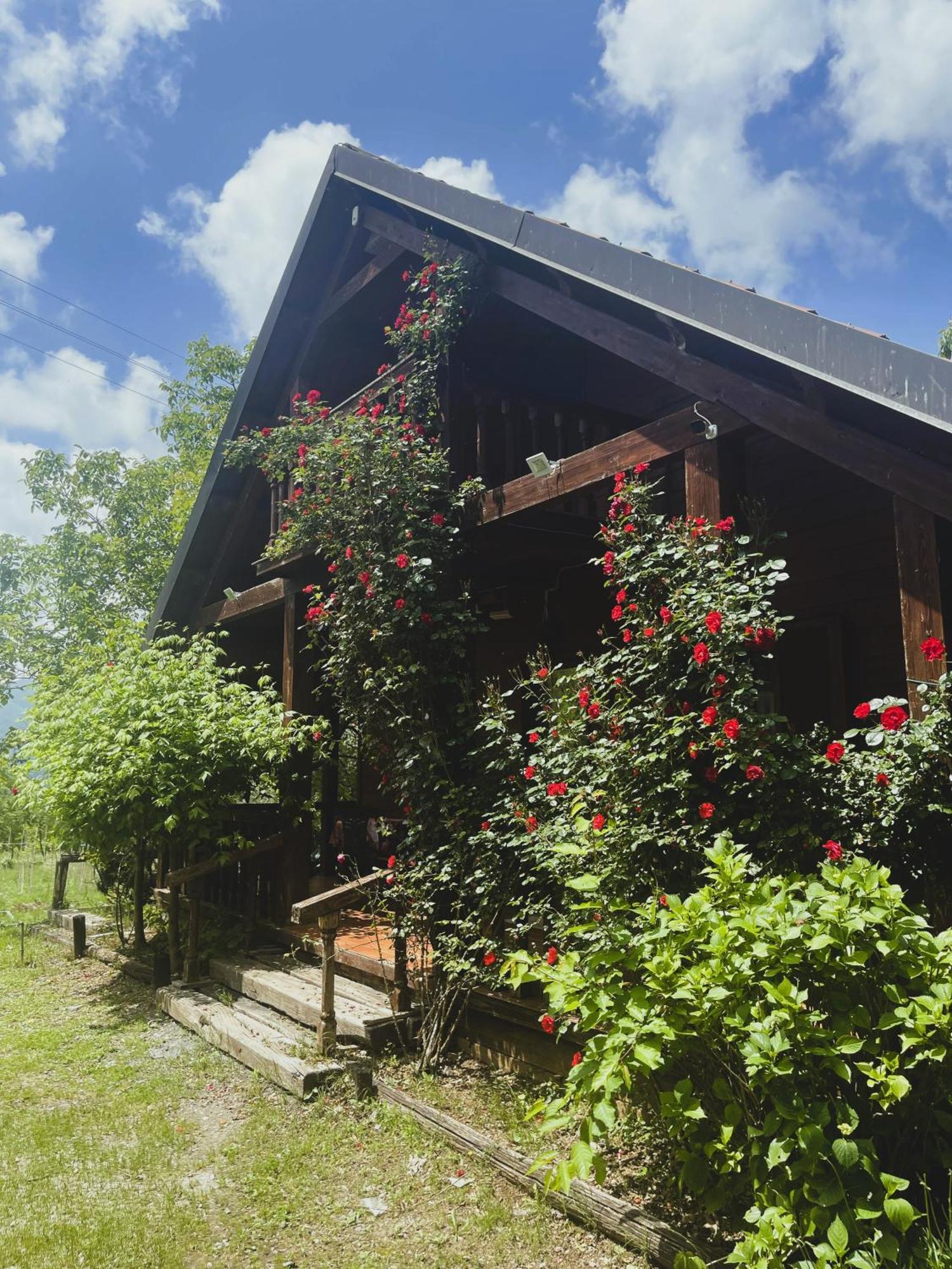 Agriturismo La Locanda Del Parco Morano Calabro Buitenkant foto