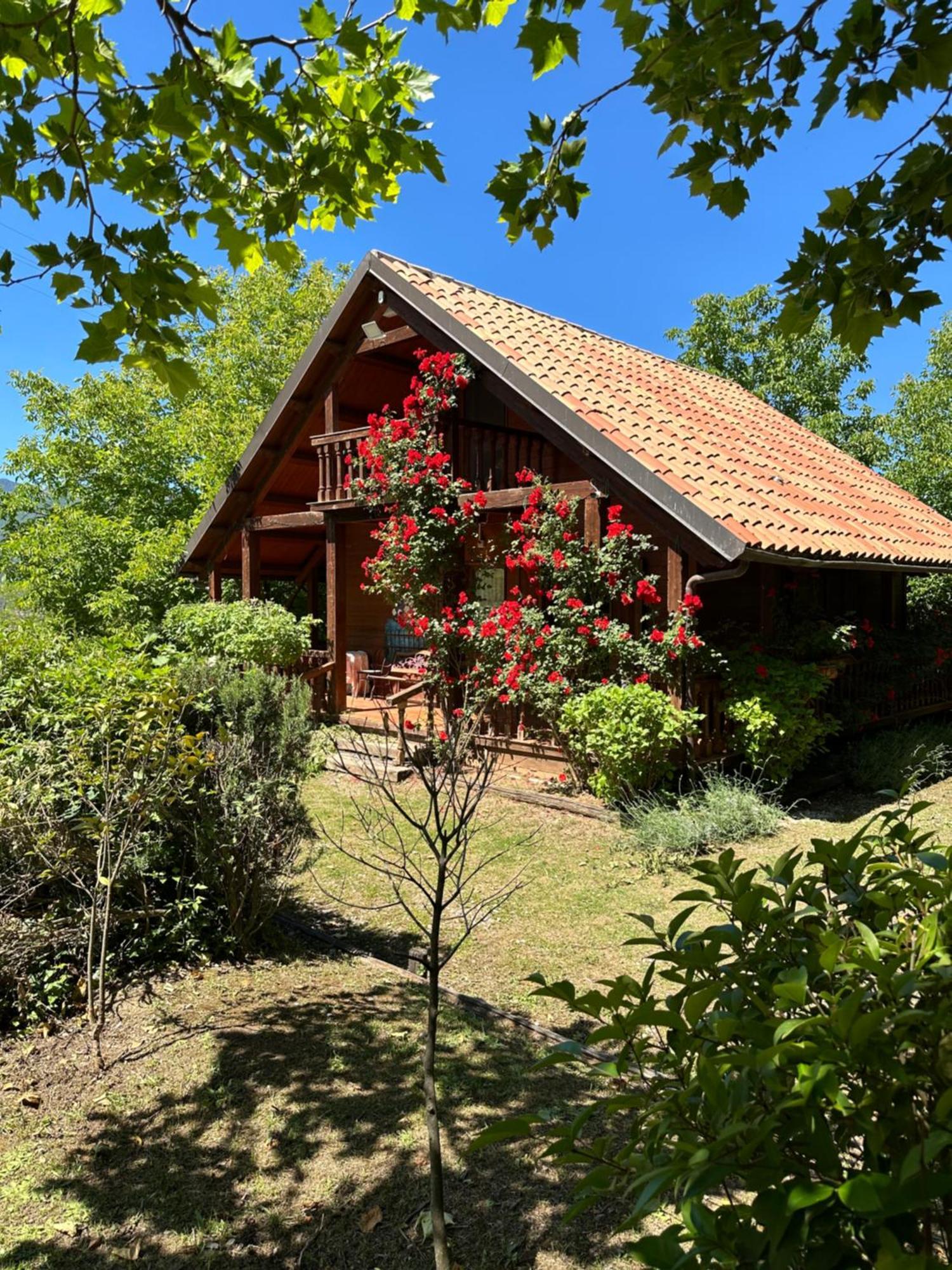 Agriturismo La Locanda Del Parco Morano Calabro Buitenkant foto