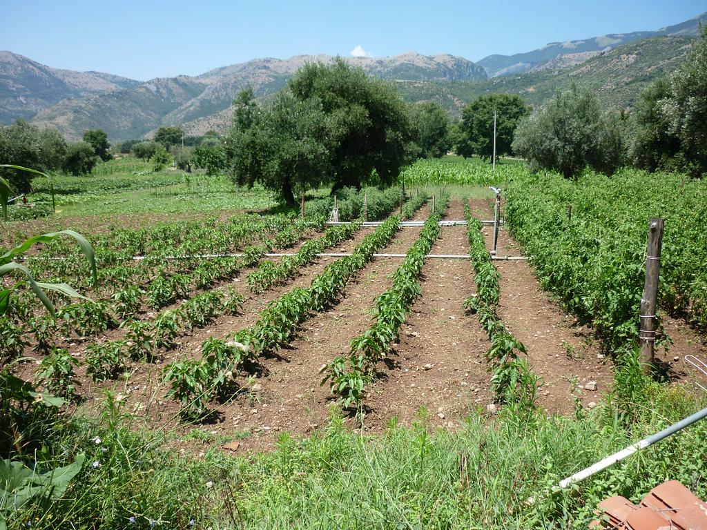 Agriturismo La Locanda Del Parco Morano Calabro Buitenkant foto